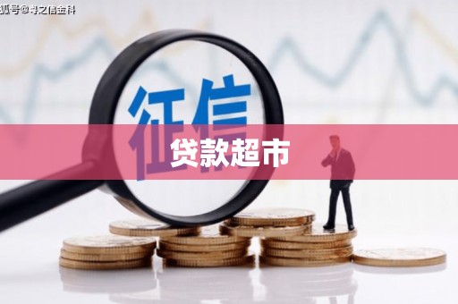 漳县贷款超市