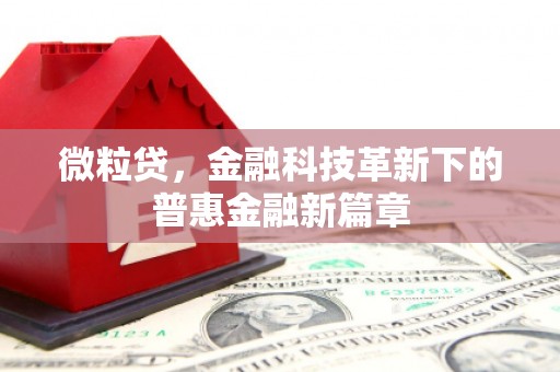 漳县微粒贷，金融科技革新下的普惠金融新篇章
