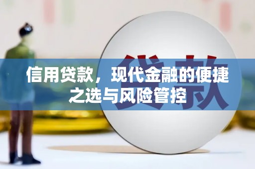 漳县信用贷款，现代金融的便捷之选与风险管控