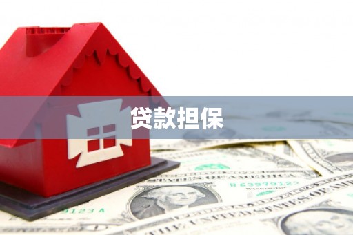 漳县贷款担保