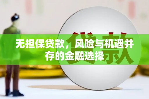漳县无担保贷款，风险与机遇并存的金融选择