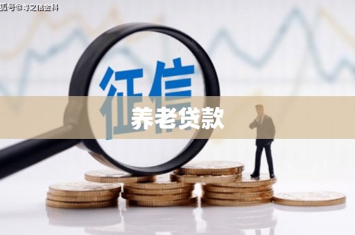 漳县养老贷款
