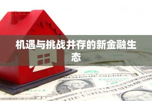 漳县机遇与挑战并存的新金融生态