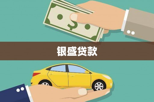 漳县银盛贷款