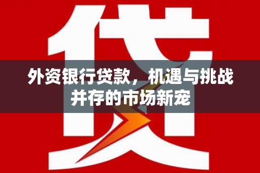 漳县外资银行贷款，机遇与挑战并存的市场新宠