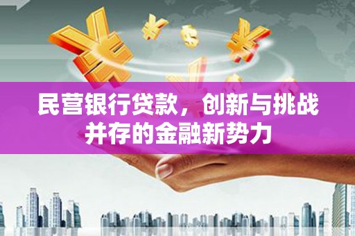 漳县民营银行贷款，创新与挑战并存的金融新势力