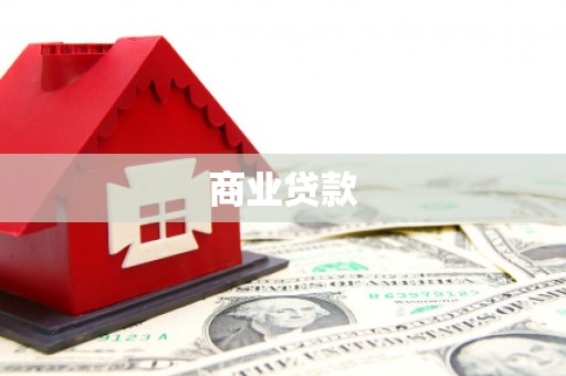 漳县商业贷款