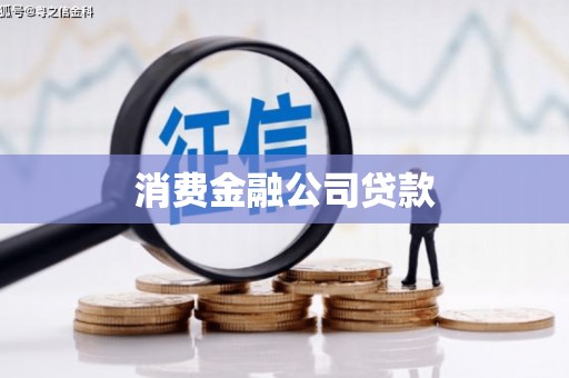 漳县消费金融公司贷款