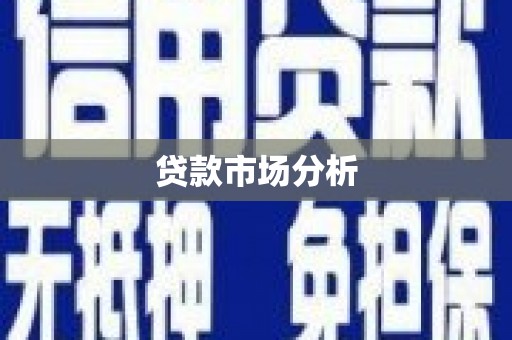 漳县贷款市场分析