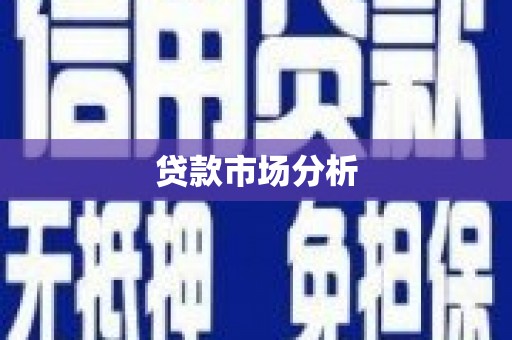 漳县贷款市场分析