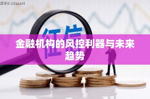 漳县金融机构的风控利器与未来趋势