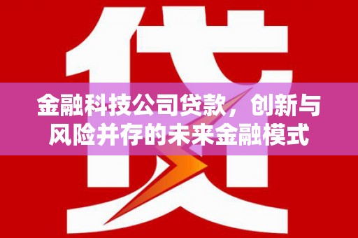 漳县金融科技公司贷款，创新与风险并存的未来金融模式