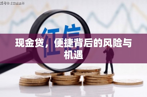 漳县现金贷，便捷背后的风险与机遇