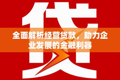 漳县全面解析经营贷款，助力企业发展的金融利器