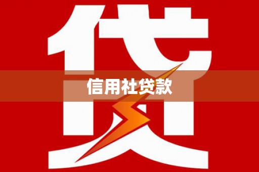 漳县信用社贷款