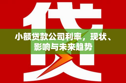 漳县小额贷款公司利率，现状、影响与未来趋势