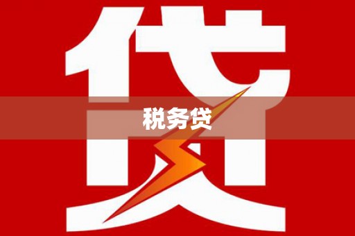 漳县税务贷