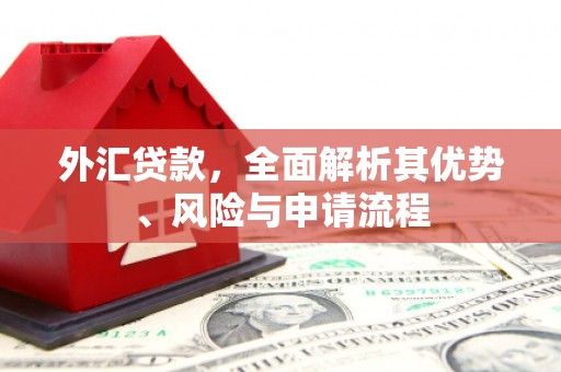 漳县外汇贷款，全面解析其优势、风险与申请流程