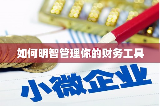 漳县如何明智管理你的财务工具