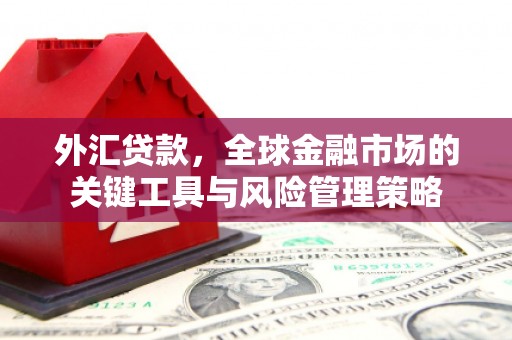 漳县外汇贷款，全球金融市场的关键工具与风险管理策略