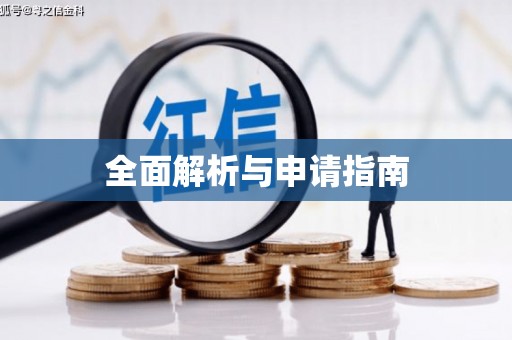漳县全面解析与申请指南