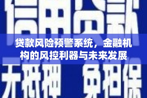 漳县贷款风险预警系统，金融机构的风控利器与未来发展