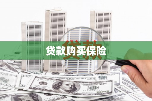 漳县贷款购买保险