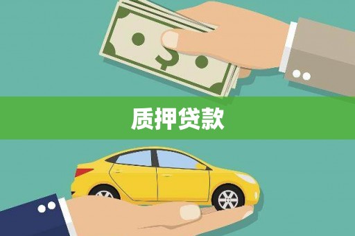 漳县质押贷款