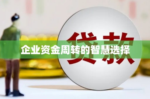 漳县企业资金周转的智慧选择