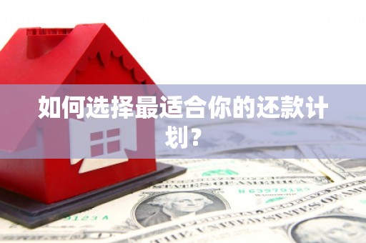 漳县如何选择最适合你的还款计划？