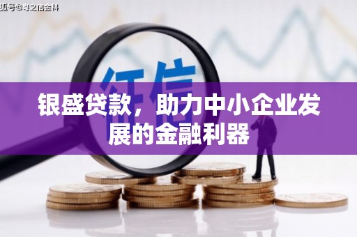 漳县银盛贷款，助力中小企业发展的金融利器