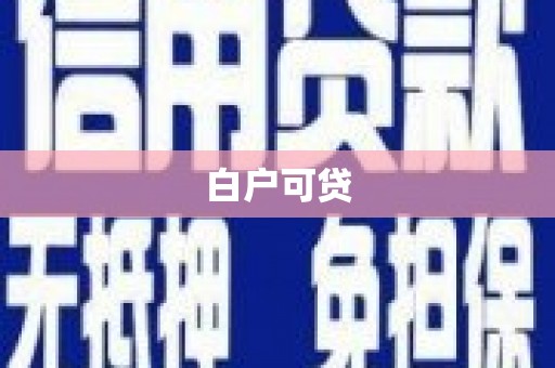 漳县白户可贷