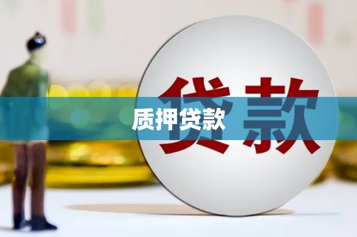 漳县质押贷款