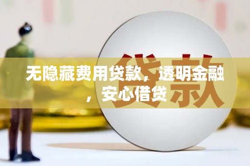 漳县无隐藏费用贷款，透明金融，安心借贷