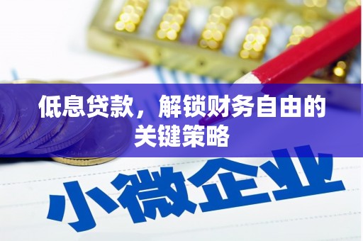 漳县低息贷款，解锁财务自由的关键策略