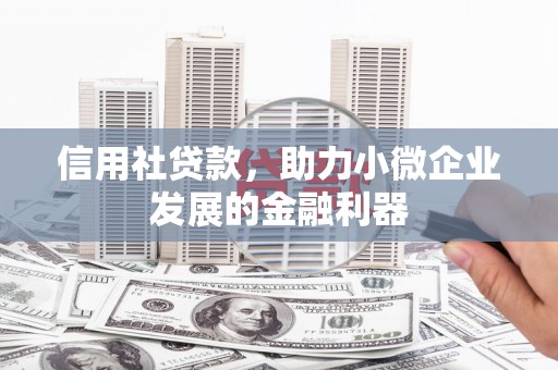 漳县信用社贷款，助力小微企业发展的金融利器