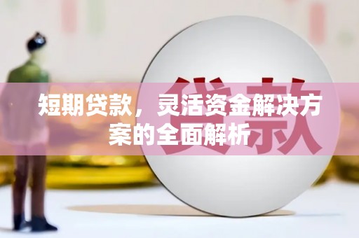 漳县短期贷款，灵活资金解决方案的全面解析