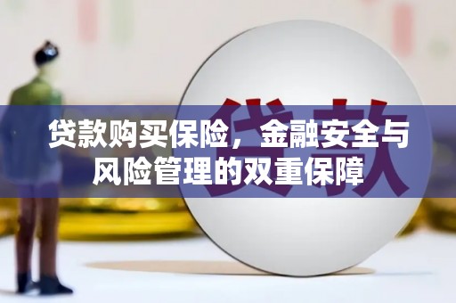 漳县贷款购买保险，金融安全与风险管理的双重保障