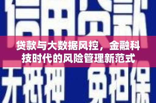 漳县贷款与大数据风控，金融科技时代的风险管理新范式