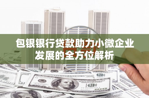 漳县包银银行贷款助力小微企业发展的全方位解析