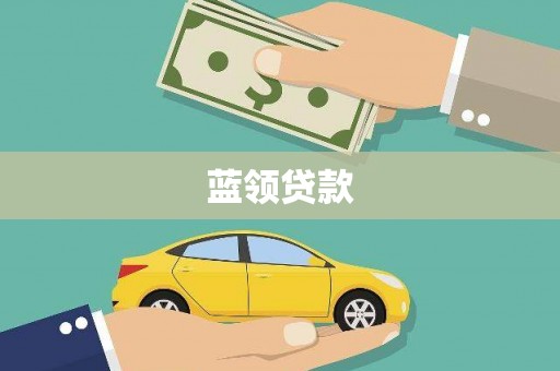 漳县蓝领贷款