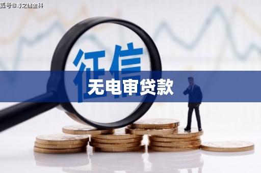 漳县无电审贷款