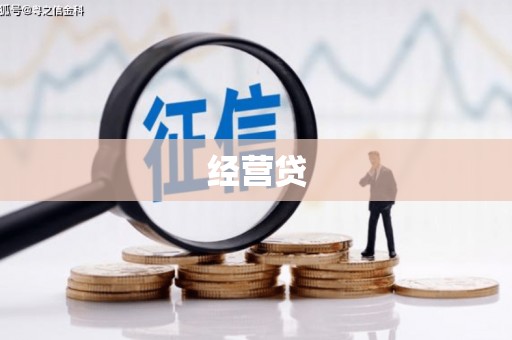 漳县经营贷