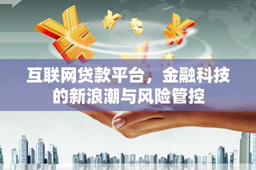 漳县互联网贷款平台，金融科技的新浪潮与风险管控