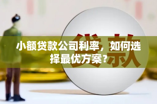 漳县小额贷款公司利率，如何选择最优方案？