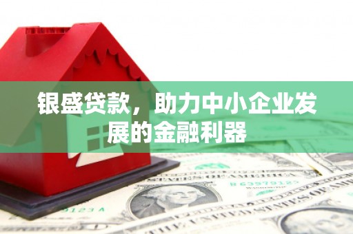 漳县银盛贷款，助力中小企业发展的金融利器