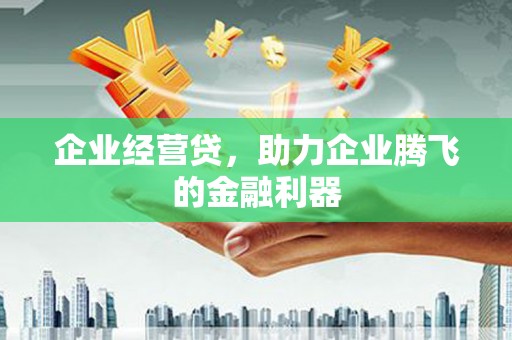 漳县企业经营贷，助力企业腾飞的金融利器