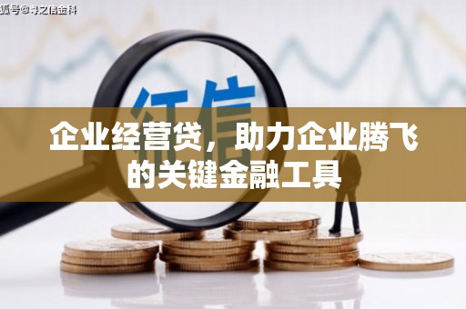 漳县企业经营贷，助力企业腾飞的关键金融工具