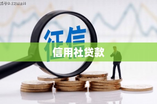 漳县信用社贷款