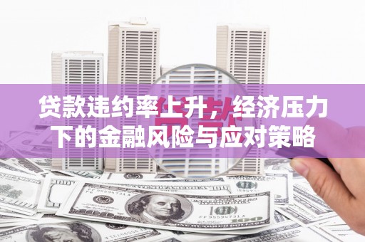 漳县贷款违约率上升，经济压力下的金融风险与应对策略